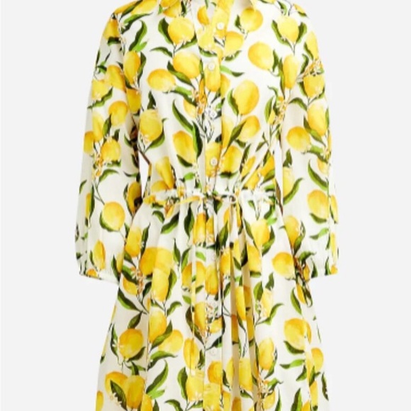 J. Crew Limoncello Print Shirt Dress - Picture 3 of 8